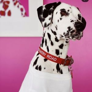 Meet your Posher, Cassidy